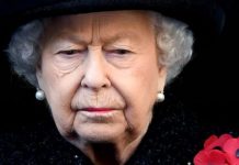 Queen heartbreak: Royal family set for subdued Remembrance Sunday amid coronavirus fears | Royal | News (Reports)