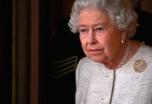 Queen news: Descendants of her swans handed to city in Florida as a gift to be sold | Royal | News (Reports)
