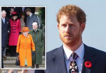 Queen news: Prince Harry rejects return to UK for Christmas | Royal | News (Reports)