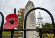 Remembrance Day 2020: How to remember our Glorious Dead in a Covid-secure way this year | UK | News (Reports)