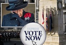 Remembrance Day POLL: Should services be cancelled this year? VOTE | UK | News (Reports)