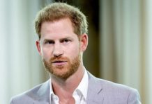 Royal Family news: Prince Harry delivered heartbreaking news – ‘You CAN’T do that’! | Royal | News (Reports)