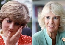 Royal news: Camilla’s savage snub to Diana during Princess’ outburst | Royal | News (Reports)