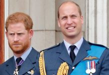 Royal snub: Prince William ‘sent message’ to Prince Harry with royal picture | Royal | News (Reports)