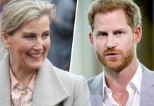 Sophie Wessex: The special bond Sophie shares with Prince Harry | Royal | News (Reports)