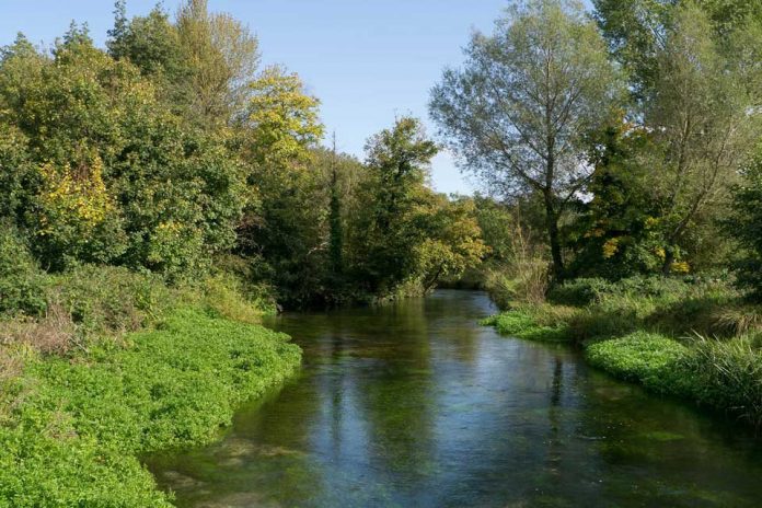 Stark warning to several water companies as environmental performance fails to improve