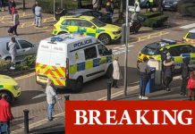 Surrey Quays shopping centre shutdown: Emergency services lockdown scene after 'stabbing' (Reports)