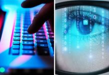 Thousands will need an EORI number after Jan 1 – find out if you do | UK | News (Reports)