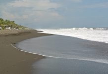 UK welcomes Guatemala’s commitment to the Global Ocean Alliance