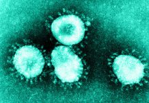 Warfarin and other blood thinners – reminder on safe use during COVID-19 pandemic