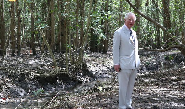 meghan markle prince harry environment prince charles eco friendly royal news meghan markle prince harry environment prince charles eco friendly royal news