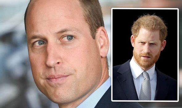 prince harry prince william earthshot prize environment royal news
