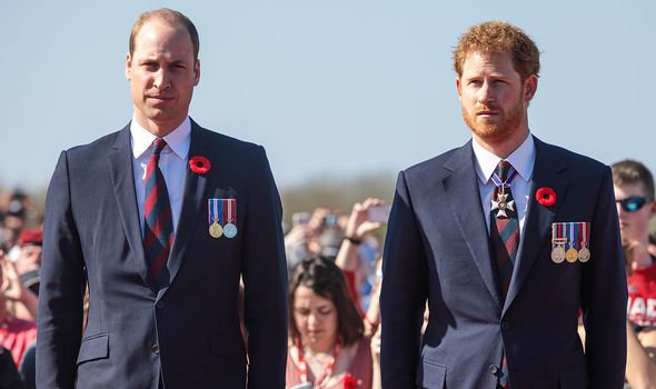 prince harry prince william earthshot prize environment royal news