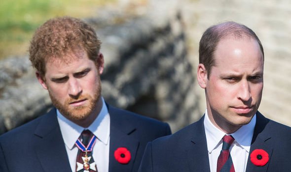 prince harry prince william earthshot prize environment royal news