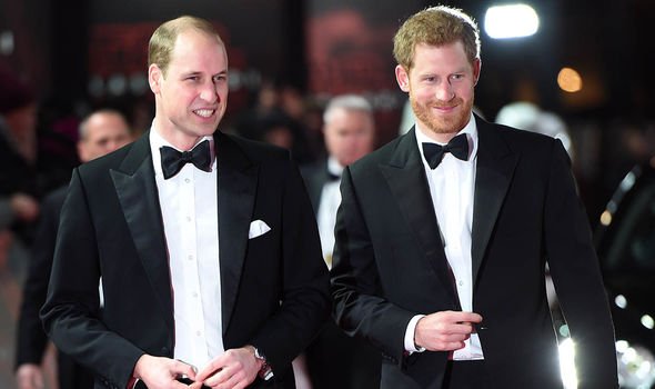 prince harry prince william earthshot prize environment royal news