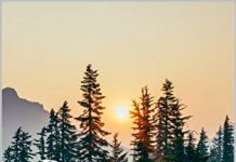 “Return to Atalan” by Richard Brewin is published “Return to Atalan” by Richard Brewin is published