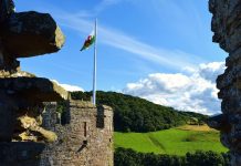 Newyddion sifil/trosedd: newid rhif ffon llinell gymorth Cymraeg