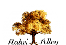 Natur’Alley unveils range of 100% plant-based life essentials Natur’Alley unveils range of 100% plant-based life essentials