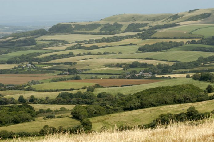 Basic Payment Scheme 2020 entitlement values and greening rates