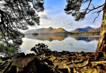 Biggest ever nationwide initiative to restore nature in England set for launch