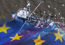 Brexit fact check! Greg Hands corrects EU MEP about the UK’s simple fishing demands | UK | News (Reports)