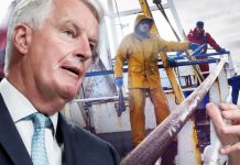 Brexit fishing fiasco: EU plot to keep access to UK waters exposed in leaked memo | UK | News (Reports)
