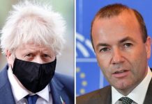 Brexit news: Dominic Cummings Downing Street departure sparks Brussels trade hopes | UK | News (Reports)