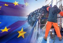 Brexit news: Leaver explodes over fishing row as EU has ‘abused UK waters’ | UK | News (Reports)