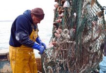 Brexit news: Scottish fishermen savage ‘bullying’ EU’s fishing offer to UK | UK | News (Reports)