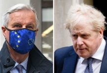 Brexit sell-out: Brexiteer issues warning over dreaded ‘BRINO’ – as UK compromise looms | UK | News (Reports)