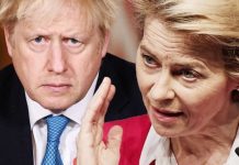 Brexit trade: EU’s fishing obsession could TORPEDO deal – UK insider hits out at Brussels | UK | News (Reports)