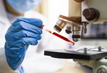 Cancer Research UK can’t afford to fund any new cancer trials | UK | News (Reports)