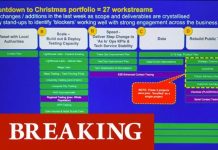 Christmas coronavirus plans leaked: Test and Trace overhaul coming | UK | News (Reports)