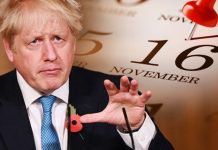 Coronavirus: Expert calls on PM to review lockdown every week as he predicts Nov 16 reopen | UK | News (Reports)