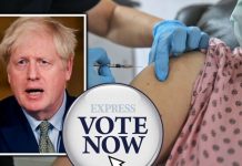 Coronavirus POLL: Should UK Covid vaccine be mandatory? VOTE HERE | UK | News (Reports)