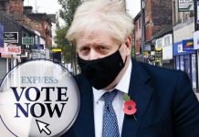 Coronavirus POLL: Would you back an EXTENSION to the national lockdown to beat COVID-19? | UK | News (Reports)