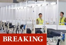 Coronavirus end in sight: England R-rate drops to 0.88 as cases fall by third in lockdown | UK | News (Reports)