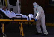 Coronavirus latest: UK deaths and infections plummet by a QUARTER in one week | UK | News (Reports)