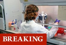 Coronavirus vaccine CHRISTMAS breakthrough: Oxford team sparks hope for festive boost | UK | News (Reports)