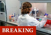Coronavirus vaccine breakthrough: Oxford COVID jab 70% successful with 100m doses on order | UK | News (Reports)