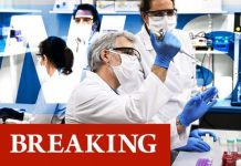 Coronavirus vaccine breakthrough as ‘NHS to be put on standby for December rollout’ | UK | News (Reports)
