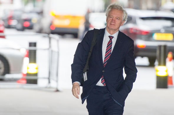 David Davis: The former Brexit Secretary said the move was a mark of 'decisive action' from the PM David Davis: The former Brexit Secretary said the move was a mark of 'decisive action' from the PM