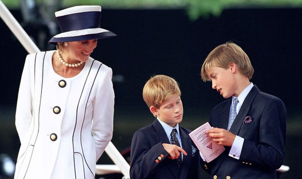 Diana with Harry and William Diana with Harry and William