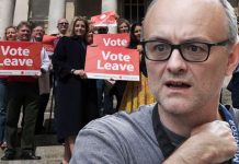 Dominic Cummings’ fury at Tory bid to oust him: ‘I’ll wrap this s*** up!’ | UK | News (Reports)