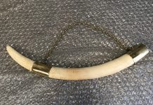 Elephant tusks seized by Border Force during international operation against wildlife crime