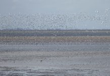 England Coast Path: Proposals published for Norfolk and Lincolnshire