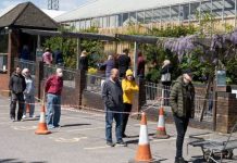 Garden centres UK: Britons furious at absurd queues – ‘no social distancing, no rules’ | UK | News (Reports)