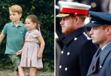 George and Charlotte ‘punished by Harry and William’s feud’ as uncle cut contact | Royal | News (Reports)