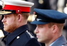 HEAD: ‘The Crown could portray adult Prince William and Harry | Royal | News (Reports)