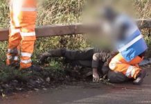 HS2 protests: Police probe launched after HS2 worker filmed kneeling on protester’s neck | UK | News (Reports)